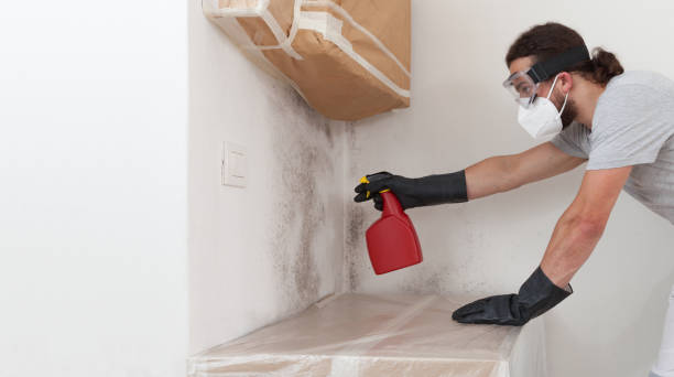 Professional Mold Inspection And Testing technician working in Secaucus, NJ