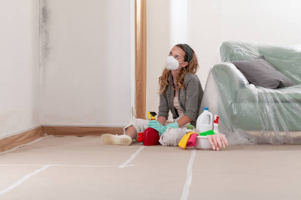 Reliable Mold Inspection And Testing contractor in Secaucus, NJ by Car Mold Remediation